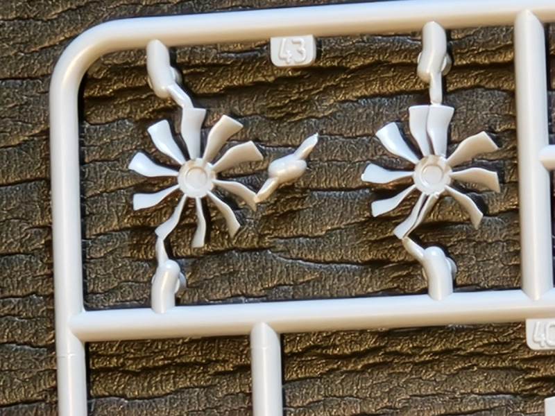 Spritzling D, Detail