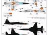 F-5E Tiger II (early version)