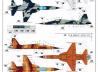 F-5E Tiger II (early version)