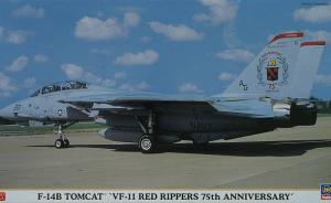 Detailset: F-14B Tomcat 'VF-11 Red Rippers 75th Anniversary'