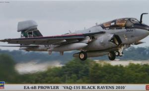 : EA-6B Prowler "VAQ-135 Black Ravens 2010"