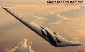 U.S.A.F B-2A Spirit Stealth Bomber