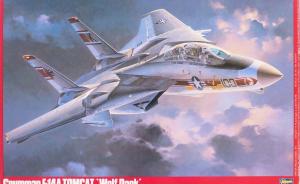 Grumman F-14A Tomcat 'Wolfpack'