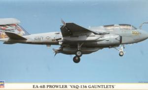 : Grumman EA-6B Prowler "Gauntlets"
