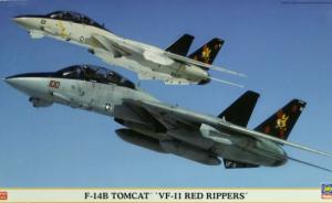 Bausatz: Grumman F-14B Tomcat