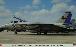 Bausatz: Grumman F-14D Tomcat