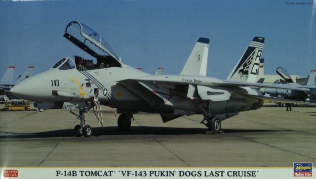 Hasegawa - Grumman F-14B Tomcat