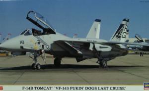 Bausatz: Grumman F-14B Tomcat