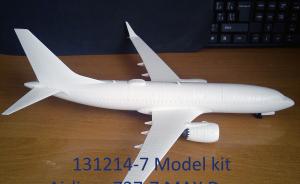 Kit-Ecke: Boeing 737-7 MAX Down 