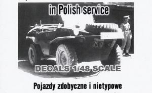 Captured & non-standard vehicles in Polish service