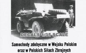 Captured Cars in Polish service