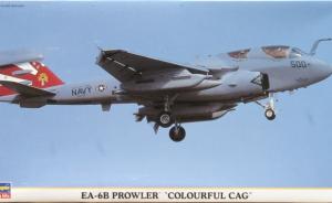 : EA-6B Prowler 'Colourful CAG'