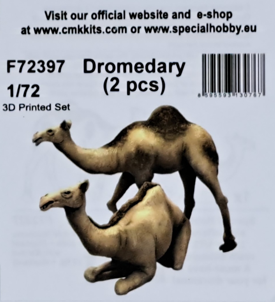 CMK - Dromedary
