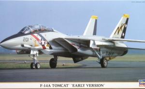 Detailset: F-14A Tomcat 'Early Version'