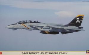 Detailset: F-14B Tomcat 'Jolly Rogers VF-103'