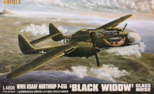 Bausatz: Northrop P-61A Black Widow