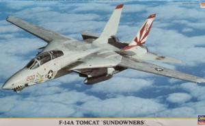 Galerie: F-14A Tomcat 'Sundowners'