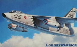 : A-3B Skywarrior